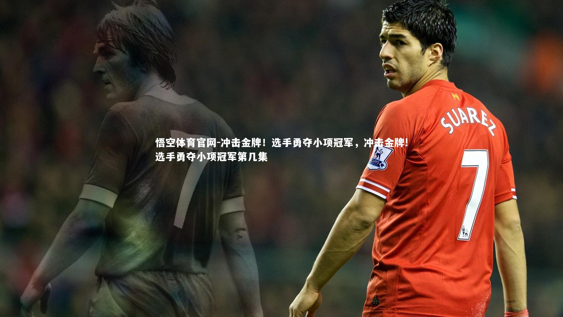 冲击金牌！选手勇夺小项冠军，冲击金牌!选手勇夺小项冠军第几集