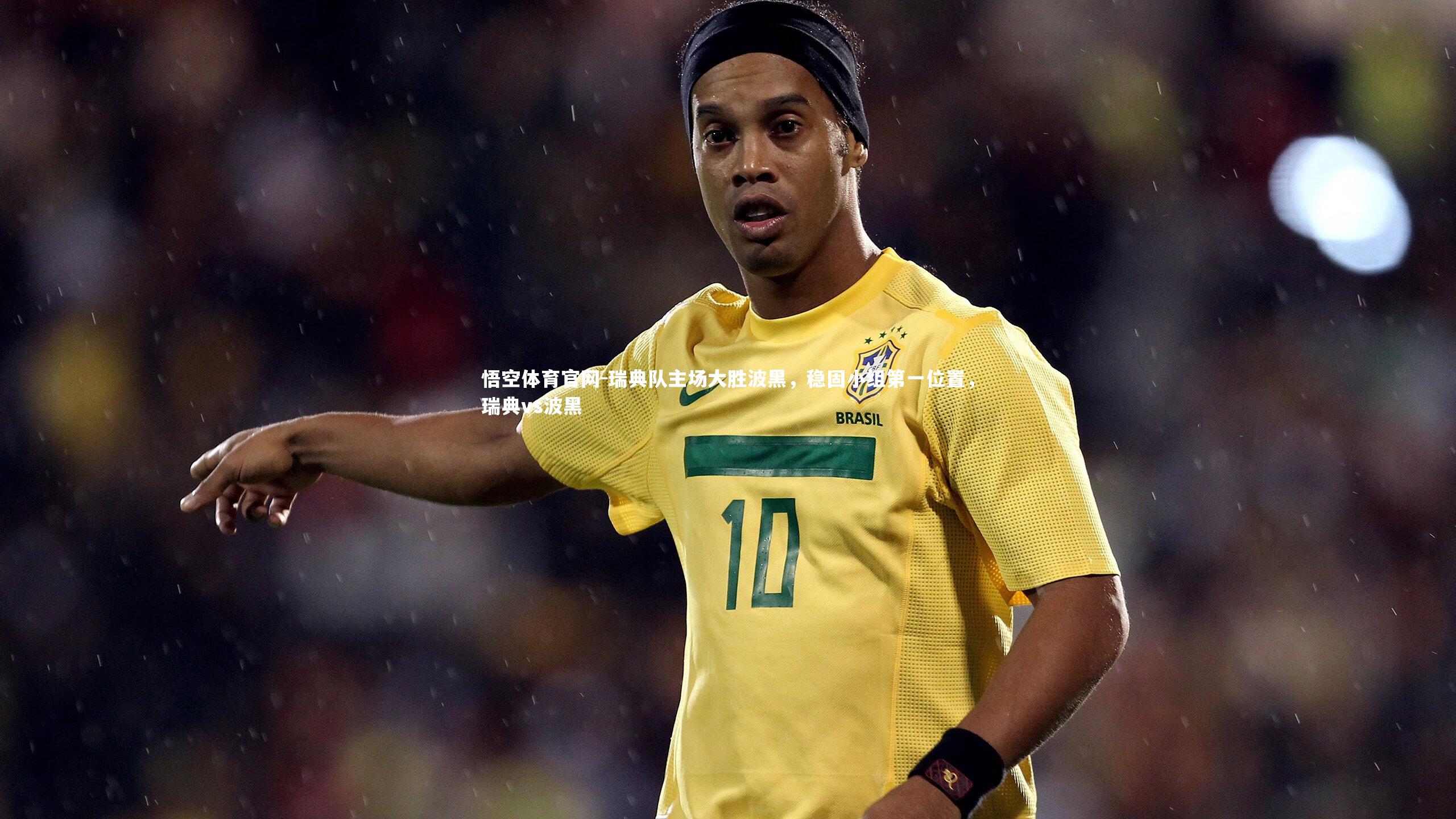 悟空体育官网-瑞典队主场大胜波黑，稳固小组第一位置，瑞典vs波黑