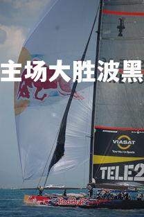 悟空体育官网-瑞典队主场大胜波黑，稳固小组第一位置，瑞典vs波黑